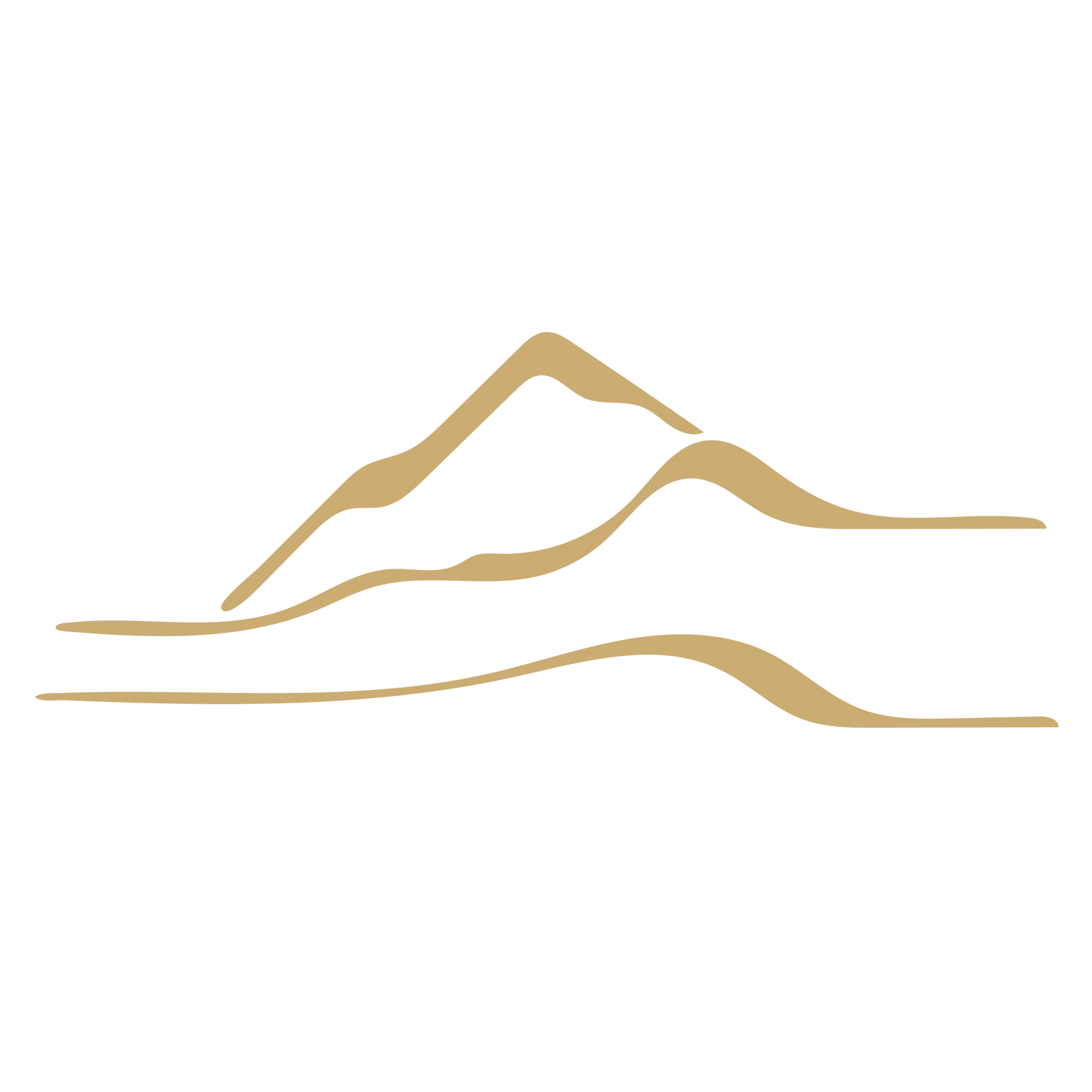 Graphism Mountain Whisky Dyc