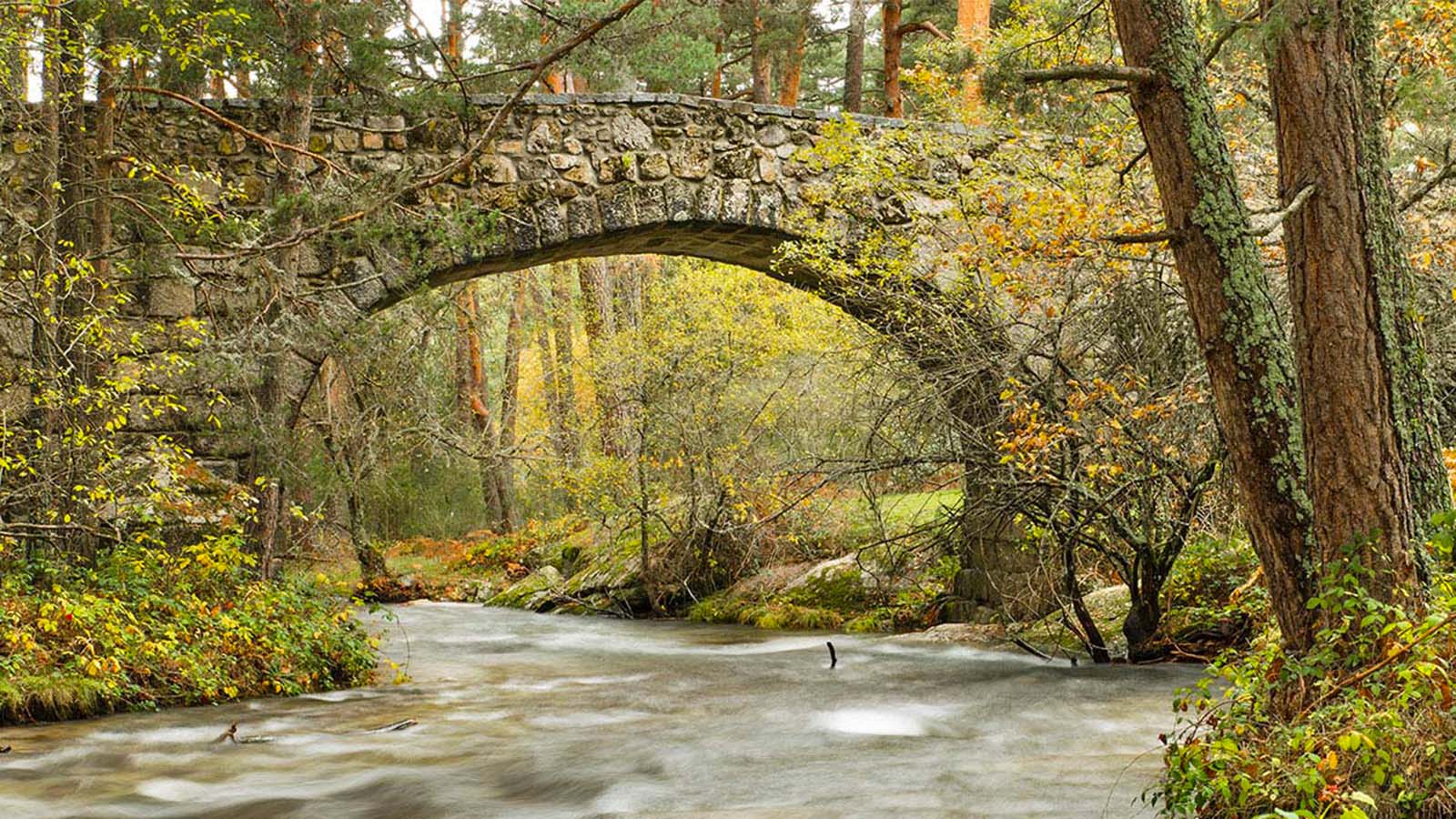 River Bridge Snow Whisky Dyc