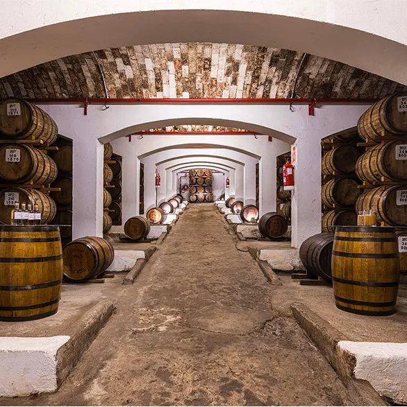 Corredor Barriles Whisky Interior DYC