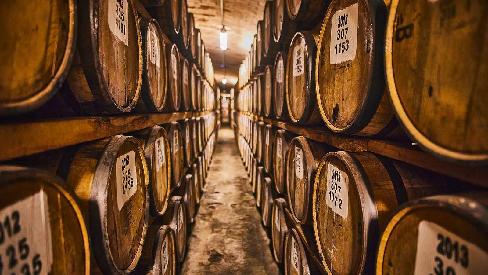 Barriles Bodega Whisky DYC
